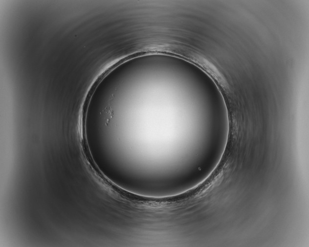 X0000096211036200801181426