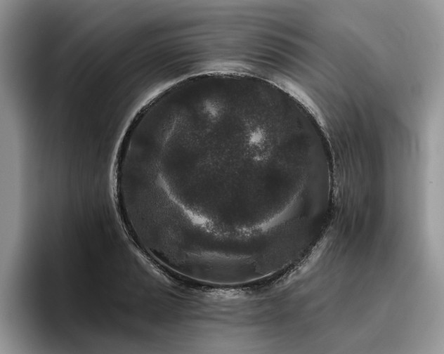 X0000096211037200801181426