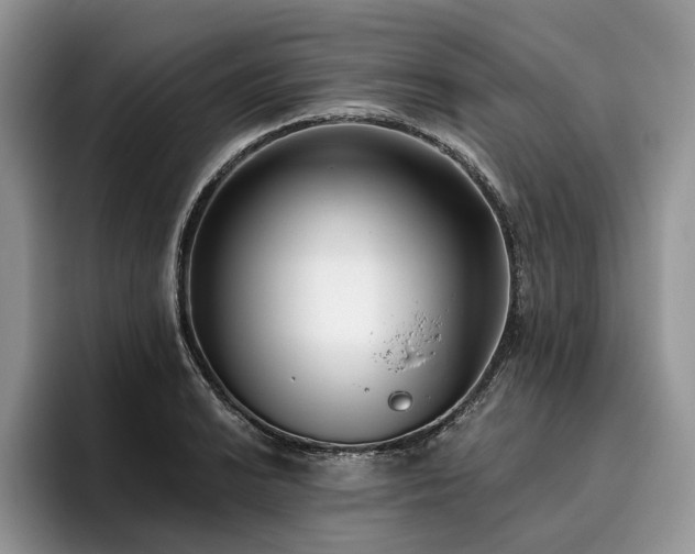 X0000096211038200801181426