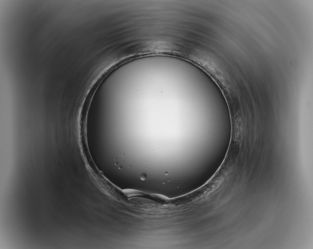 X0000096211039200801181426