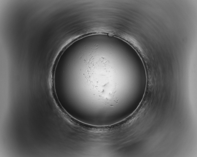 X0000096211040200801181426