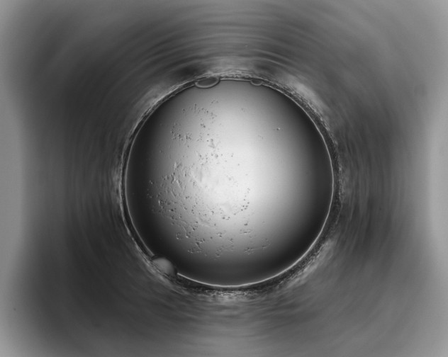 X0000096211041200801181426