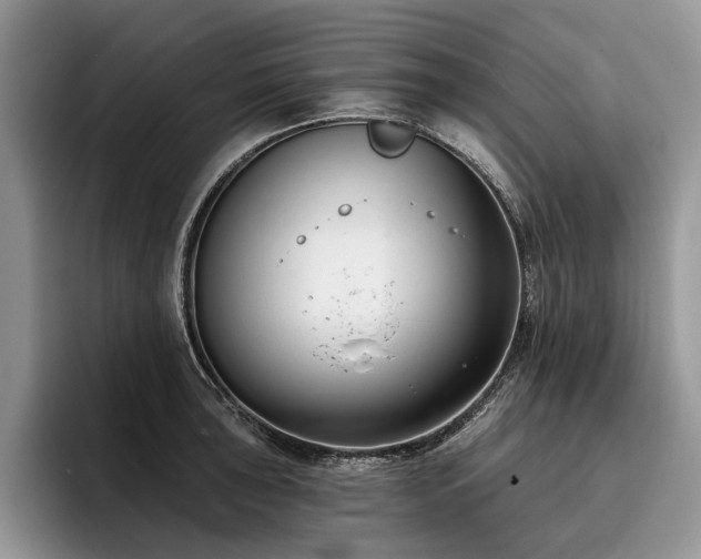 X0000096211043200801181426