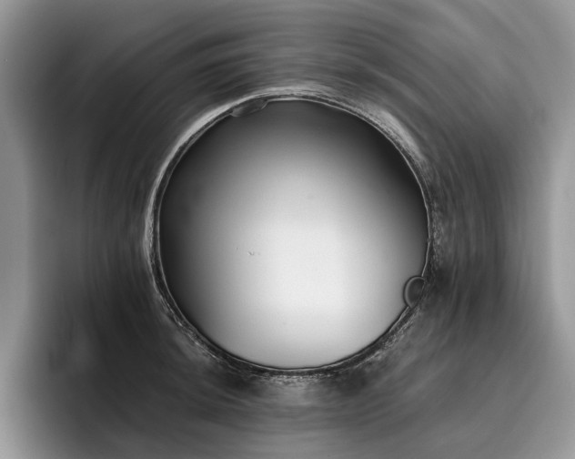 X0000096211044200801181426