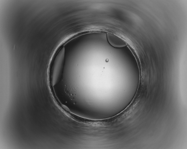 X0000096211045200801181426