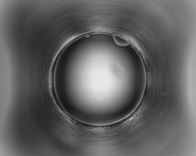 X0000096211048200801181426