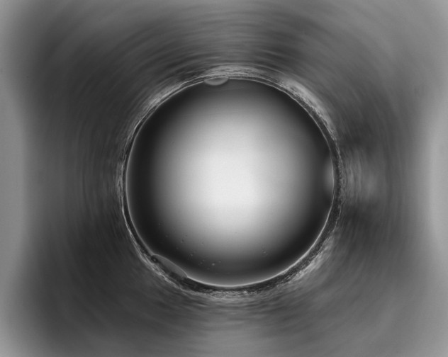 X0000096211049200801181426