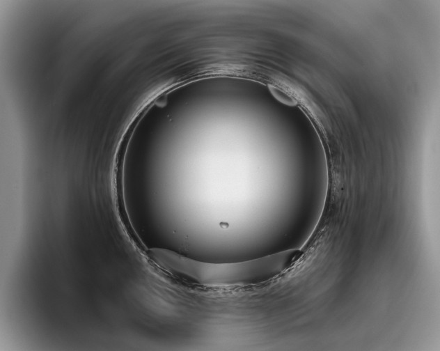 X0000096211050200801181426