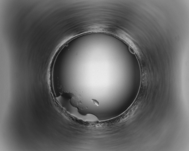 X0000096211051200801181426