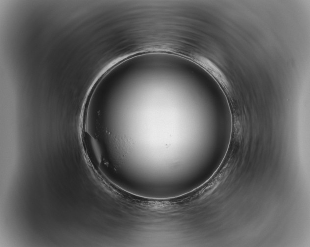 X0000096211052200801181426