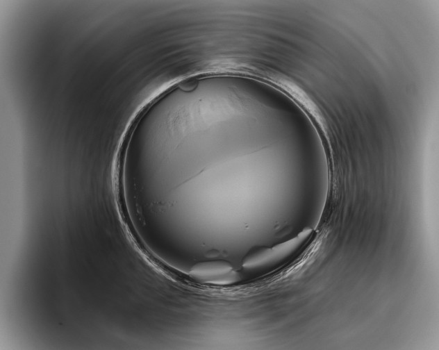 X0000096211053200801181426