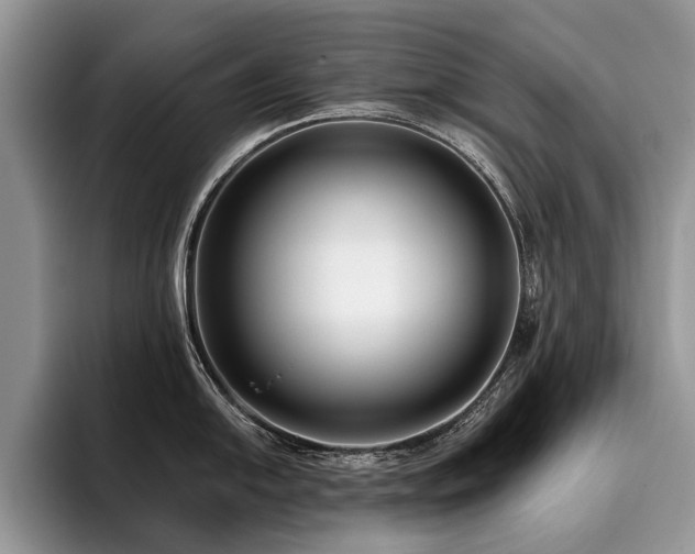 X0000096211054200801181426