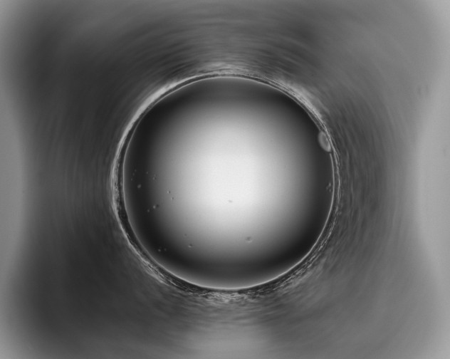 X0000096211056200801181426