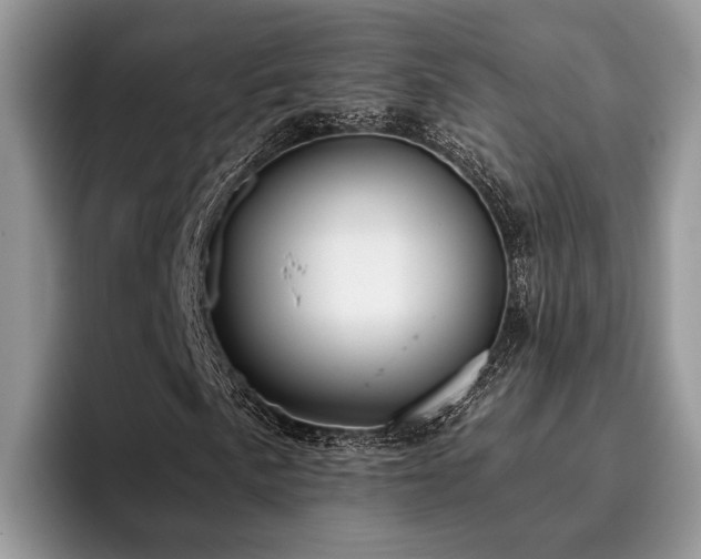 X0000096211057200801181426