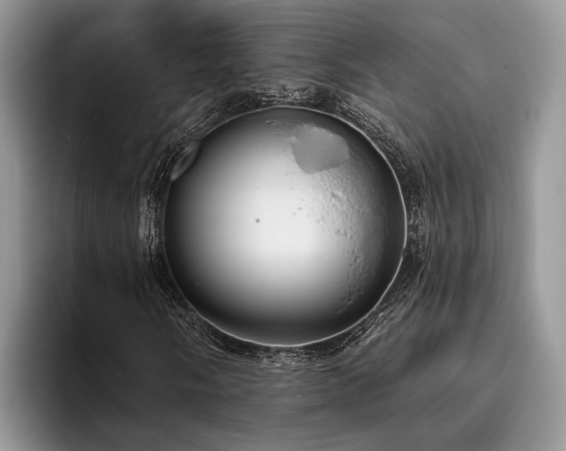 X0000096211058200801181426