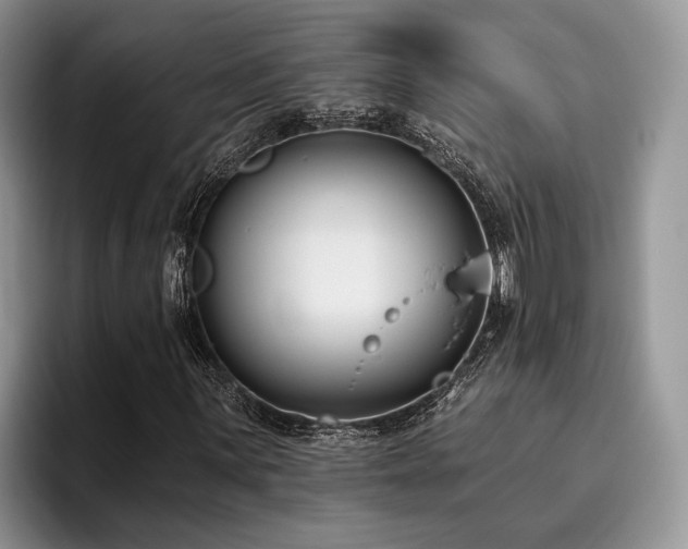 X0000096211059200801181426
