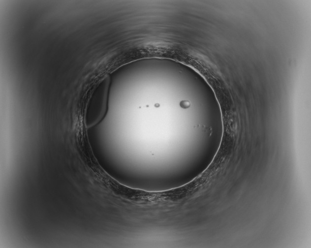 X0000096211061200801181426