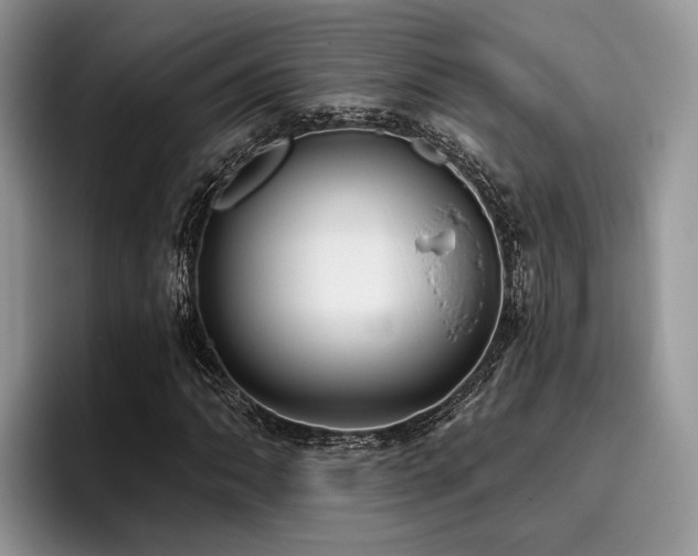 X0000096211062200801181426