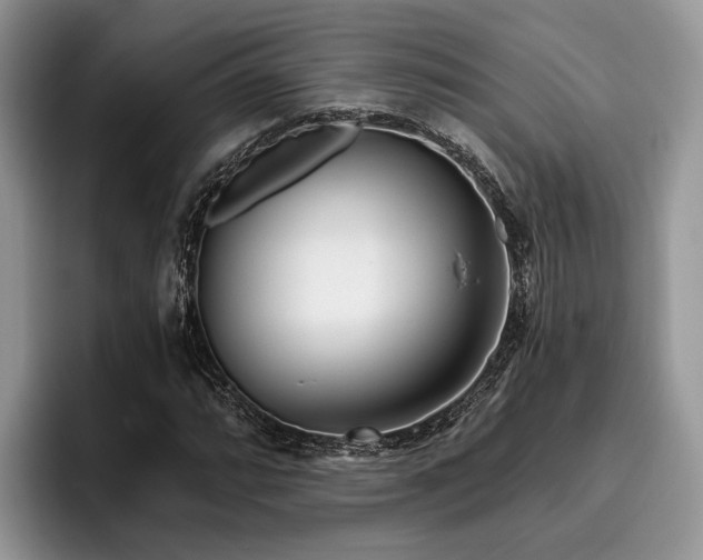 X0000096211064200801181426