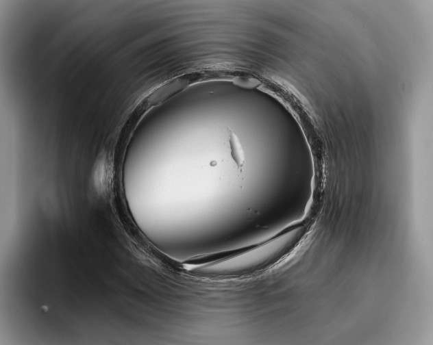 X0000096211065200801181426