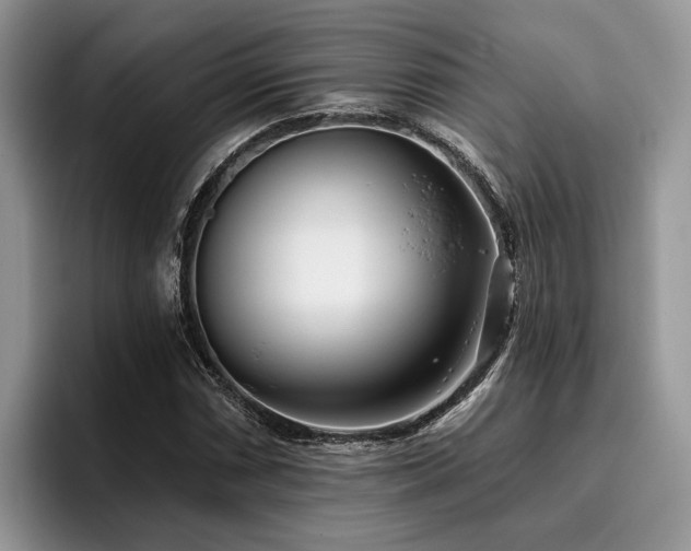 X0000096211066200801181426