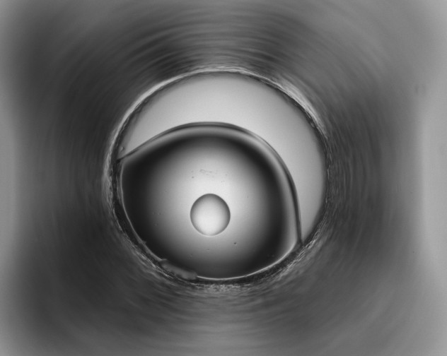 X0000096211068200801181426