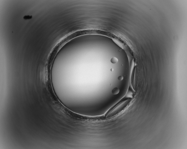 X0000096211069200801181426
