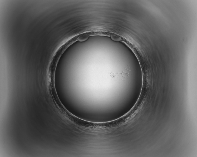 X0000096211070200801181426