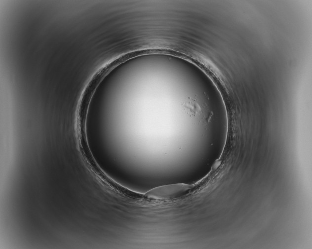X0000096211072200801181426