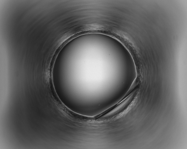 X0000096211073200801181426