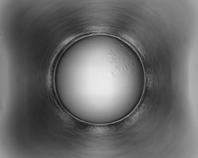 X0000096211074200801181426