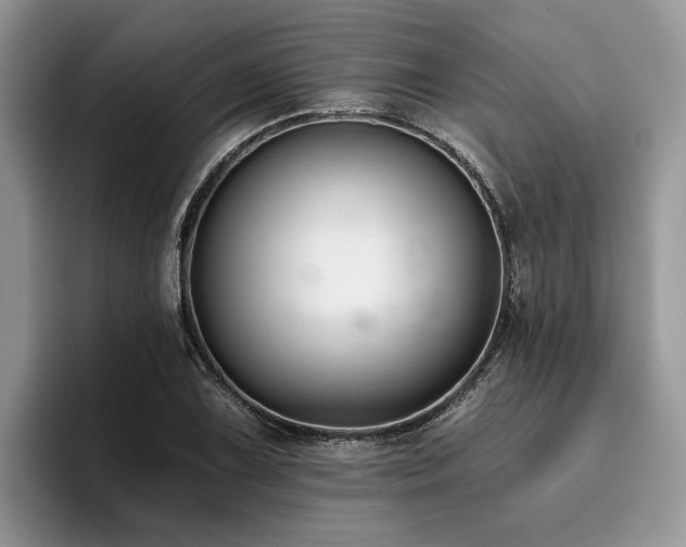 X0000096211075200801181426