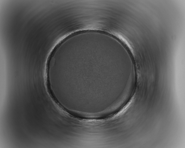 X0000096211077200801181425