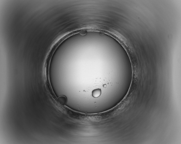X0000096211078200801181425