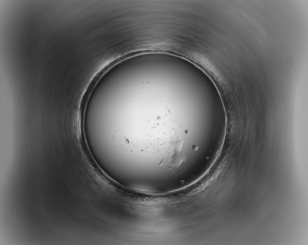 X0000096211079200801181425