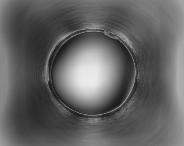 X0000096211080200801181425