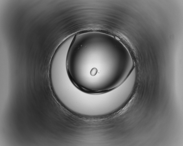 X0000096211081200801181425