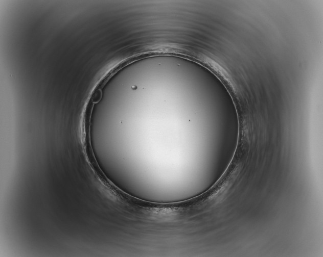 X0000096211082200801181425