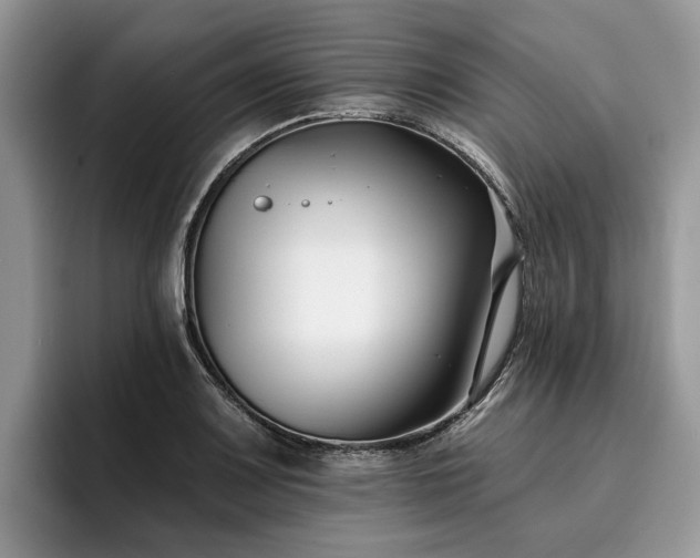 X0000096211083200801181425