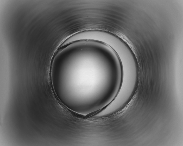 X0000096211089200801181425