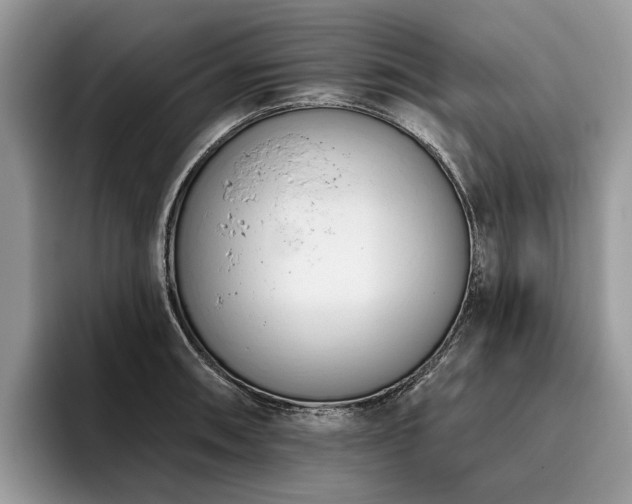 X0000096211090200801181425