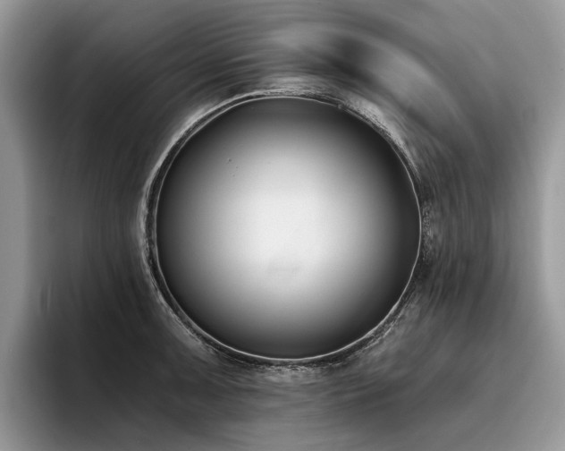 X0000096211091200801181425