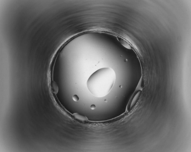 X0000096211092200801181425