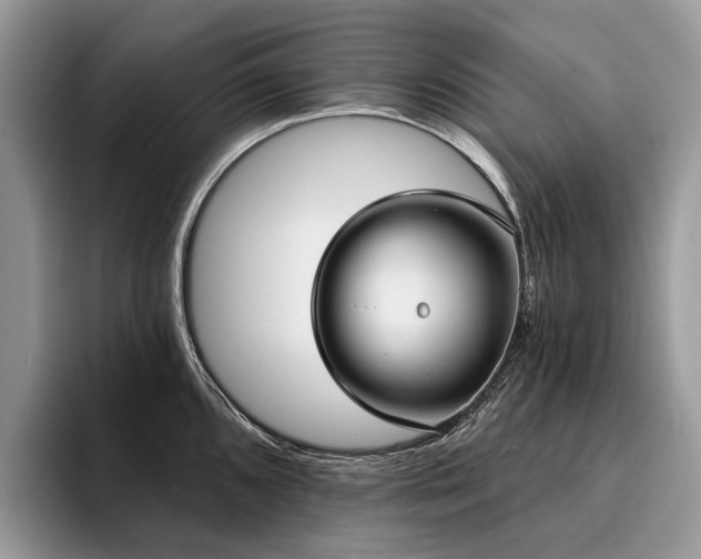 X0000096211096200801181425