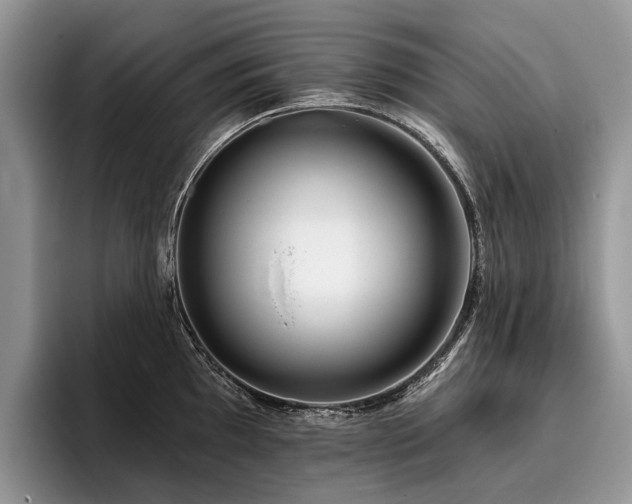 X0000096211097200801181425