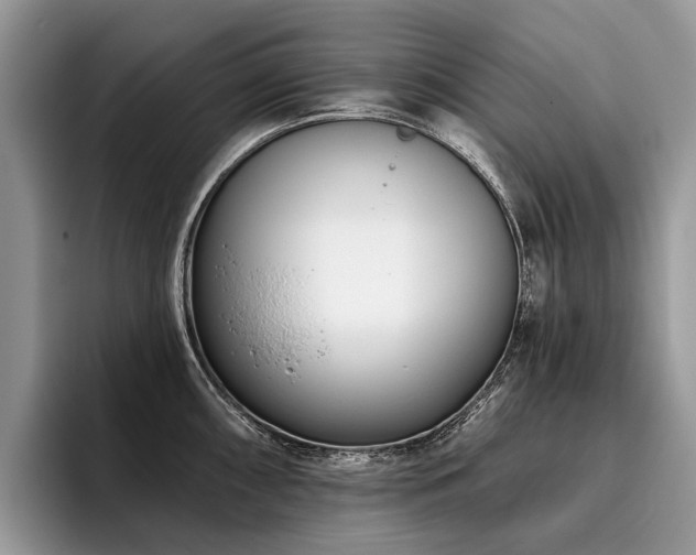 X0000096211098200801181425