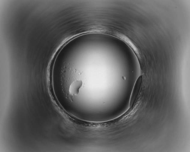 X0000096211099200801181425