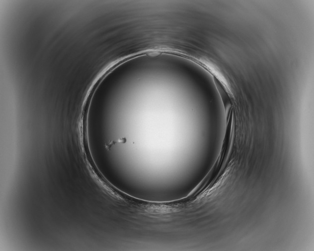 X0000096211100200801181425