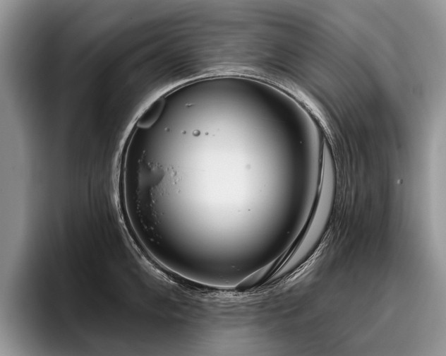 X0000096211102200801181425