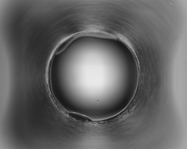 X0000096211104200801181425